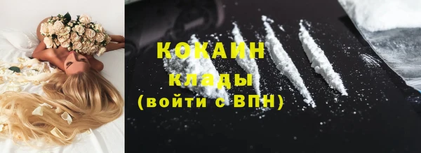 молекула духа Новодвинск