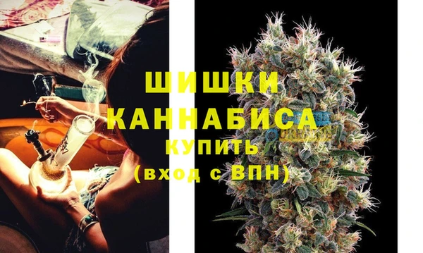 молекула духа Новодвинск