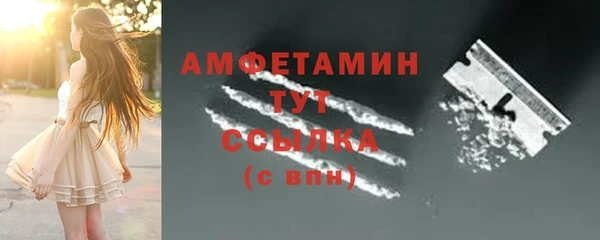 молекула духа Новодвинск