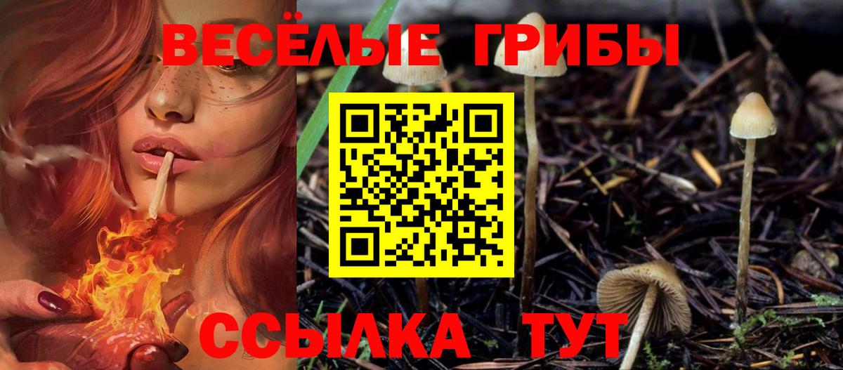 Псилоцибиновые грибы мухоморы  Вход с VPN  Барабинск 